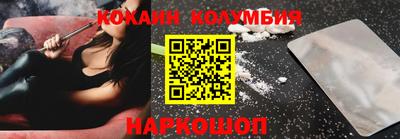 индика Камышлов