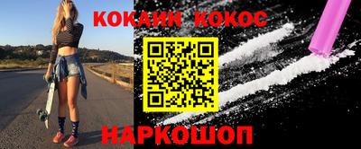 индика Камышлов