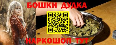 индика Камышлов