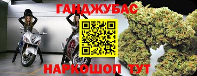 индика Камышлов