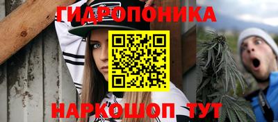 индика Камышлов