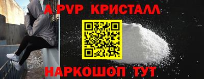 индика Камышлов