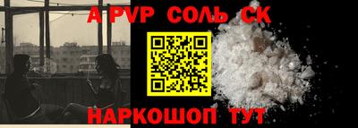 индика Камышлов
