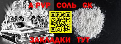 индика Камышлов