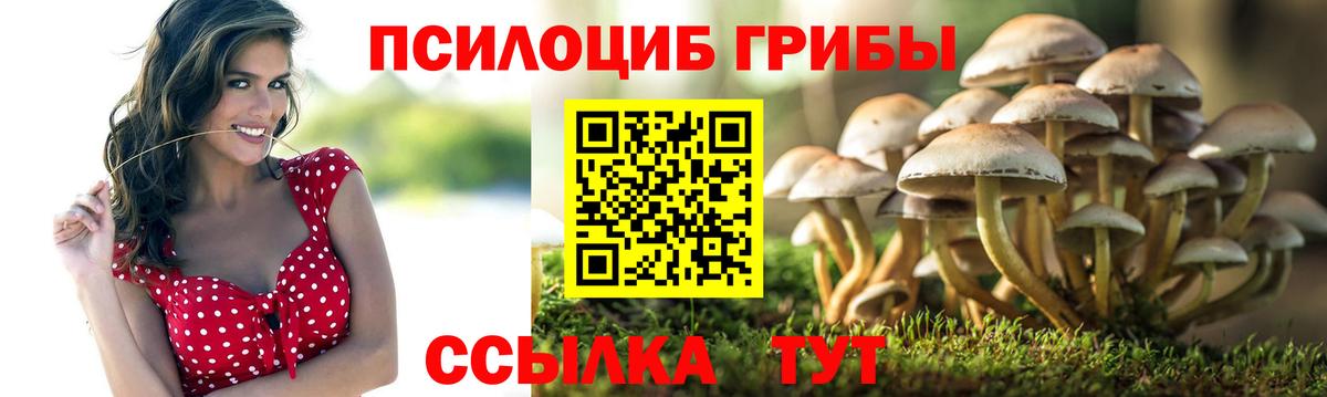 Галлюциногенные грибы мицелий  Псилоцибиновые грибы MAGIC MUSHROOMS  Полысаево 
