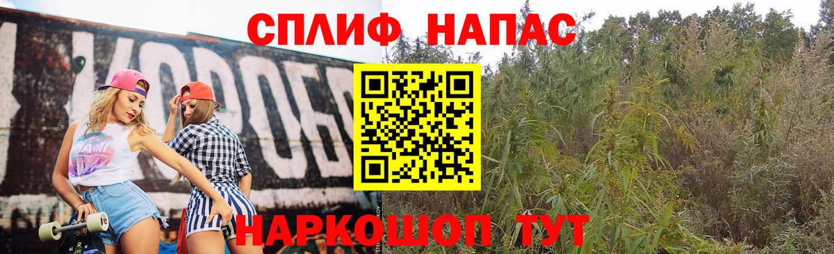 Марихуана сатива Полысаево